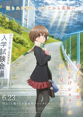 小马宝莉的动画片