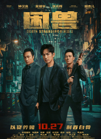 来了100官网登录
